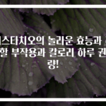 피스타치오의 놀라운 효능과 주의할 부작용과 칼로리 하루 권장량!