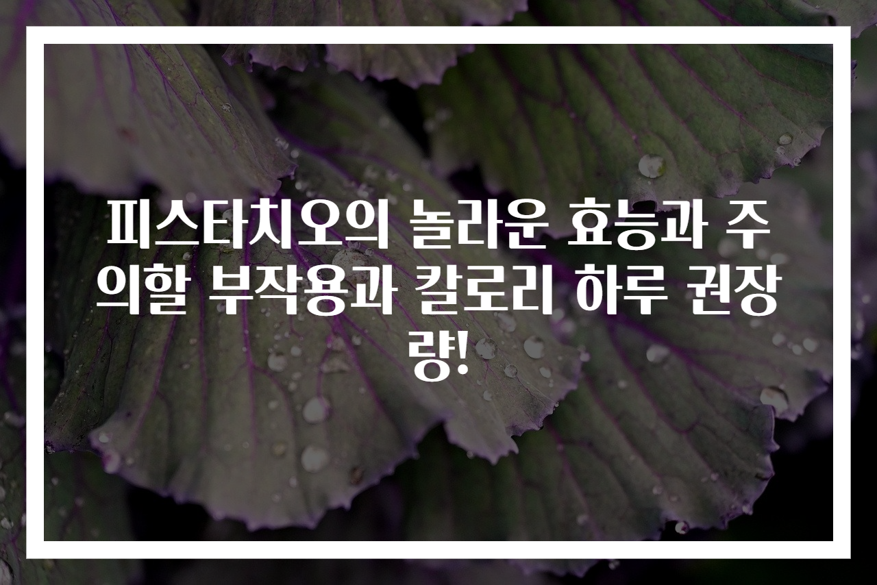 피스타치오의 놀라운 효능과 주의할 부작용과 칼로리 하루 권장량!