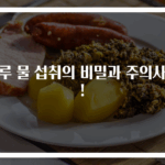하루 물 섭취의 비밀과 주의사항!
