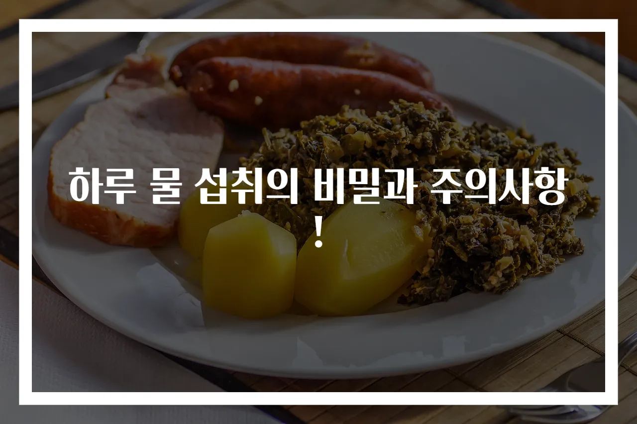 하루 물 섭취의 비밀과 주의사항!