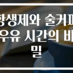 항생제와 술커피우유 시간의 비밀