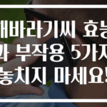 해바라기씨 효능과 부작용 5가지 놓치지 마세요!