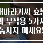 해바라기씨 효능과 부작용 5가지 놓치지 마세요!