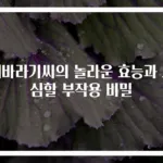 해바라기씨의 놀라운 효능과 조심할 부작용 비밀