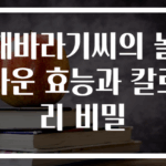 해바라기씨의 놀라운 효능과 칼로리 비밀