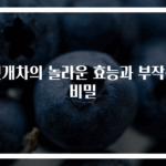 헛개차의 놀라운 효능과 부작용 비밀