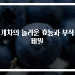 헛개차의 놀라운 효능과 부작용 비밀