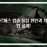 헤르페스 입술 물집 원인과 치료법 공개!