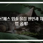 헤르페스 입술 물집 원인과 치료법 공개!