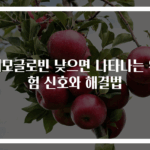 헤모글로빈 낮으면 나타나는 위험 신호와 해결법