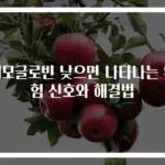 헤모글로빈 낮으면 나타나는 위험 신호와 해결법
