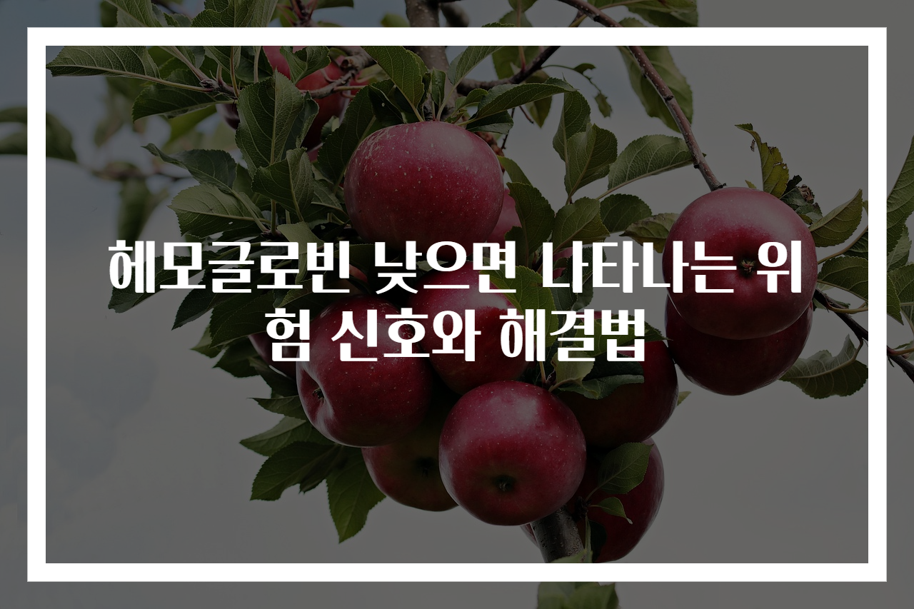 헤모글로빈 낮으면 나타나는 위험 신호와 해결법