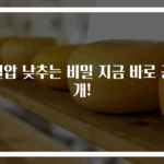 혈압 낮추는 비밀 지금 바로 공개!
