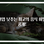 혈압 낮추는 최고의 음식 비밀 공개!