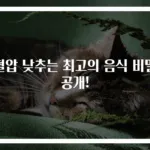 혈압 낮추는 최고의 음식 비밀 공개!