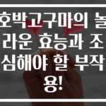 호박고구마의 놀라운 효능과 조심해야 할 부작용!