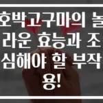 호박고구마의 놀라운 효능과 조심해야 할 부작용!