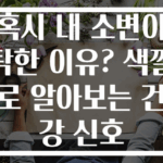 혹시 내 소변이 탁한 이유? 색깔로 알아보는 건강 신호