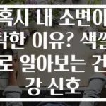 혹시 내 소변이 탁한 이유? 색깔로 알아보는 건강 신호