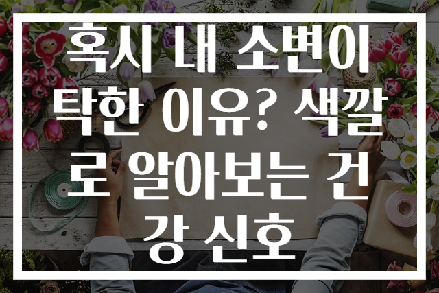 혹시 내 소변이 탁한 이유? 색깔로 알아보는 건강 신호