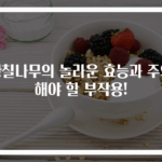 황칠나무의 놀라운 효능과 주의해야 할 부작용!