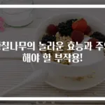 황칠나무의 놀라운 효능과 주의해야 할 부작용!