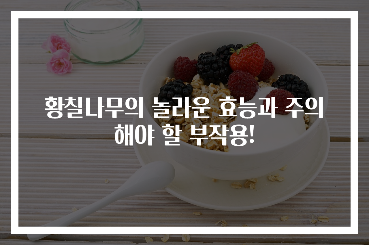 황칠나무의 놀라운 효능과 주의해야 할 부작용!