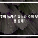 흑초의 놀라운 효능과 주의 부작용 공개!
