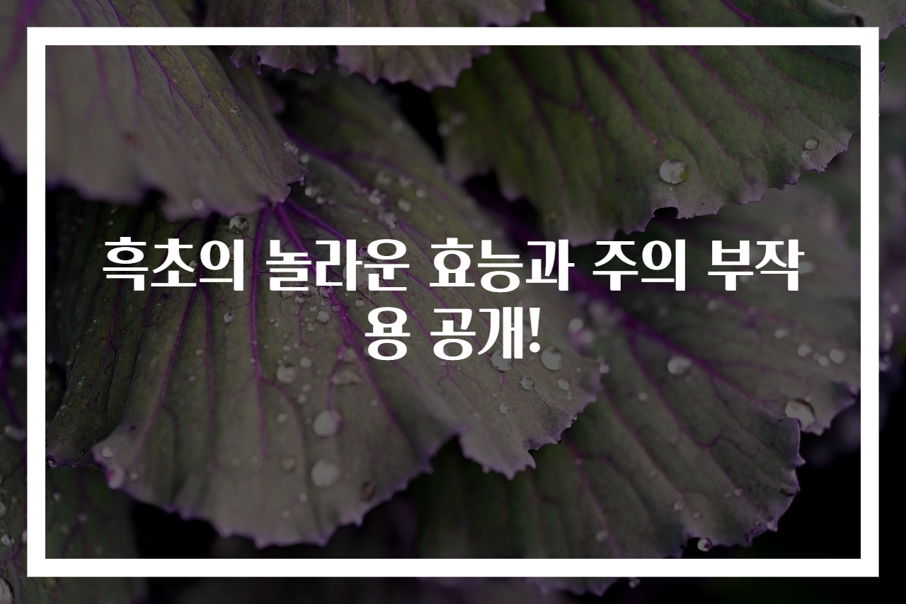흑초의 놀라운 효능과 주의 부작용 공개!