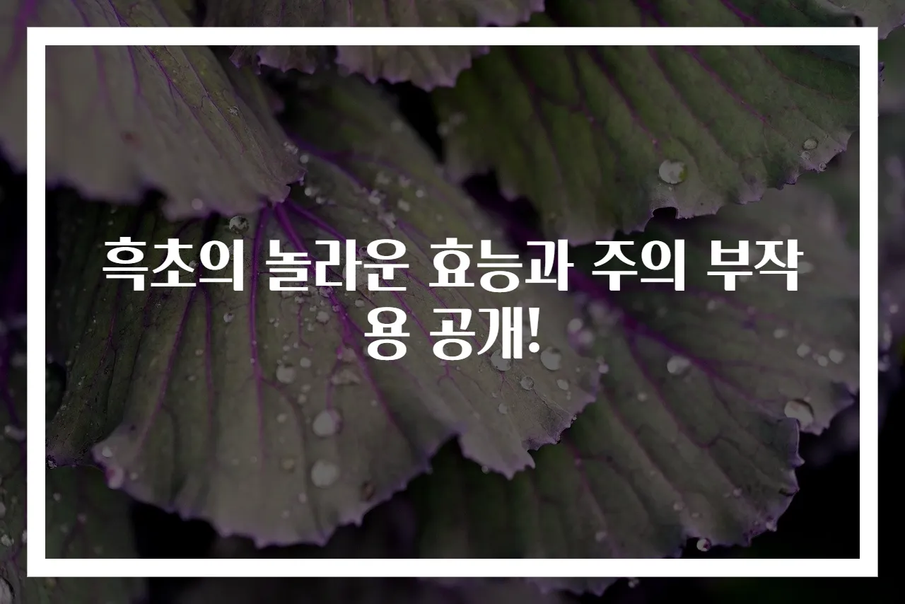 흑초의 놀라운 효능과 주의 부작용 공개!