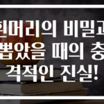 흰머리의 비밀과 뽑았을 때의 충격적인 진실!