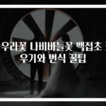 가우라꽃 나비바늘꽃 백접초 키우기와 번식 꿀팁