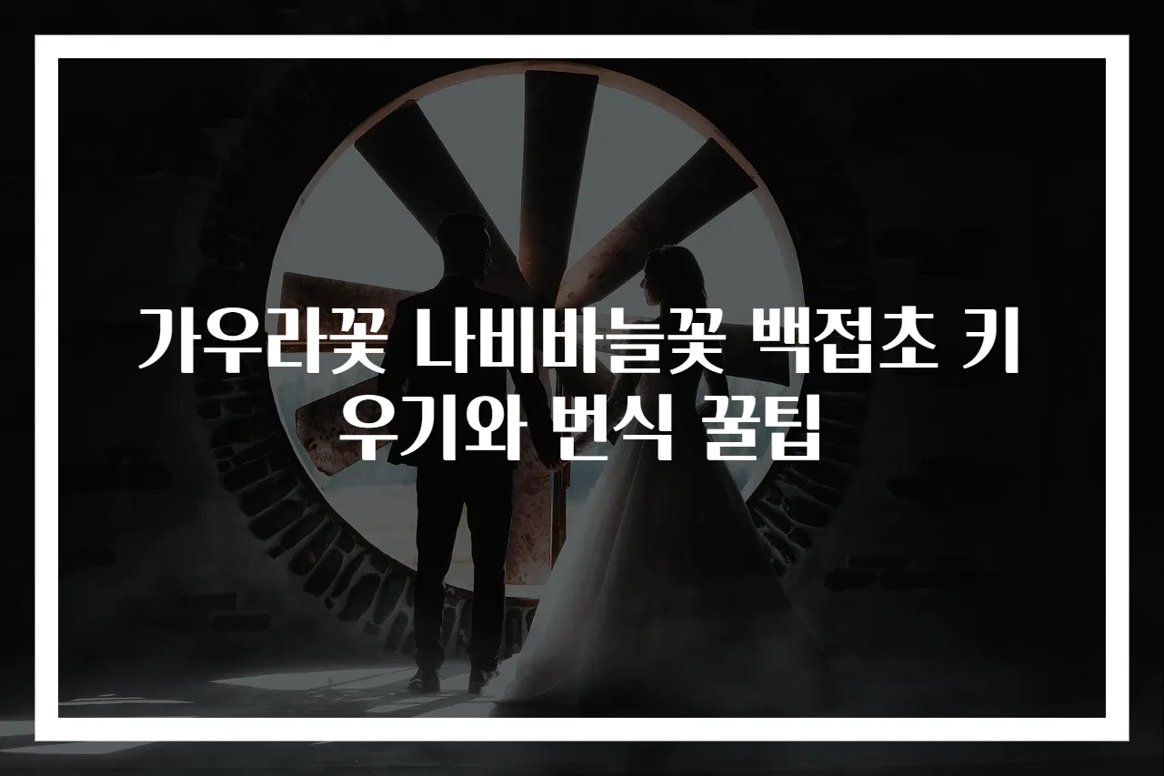 가우라꽃 나비바늘꽃 백접초 키우기와 번식 꿀팁