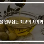 가을 열무심는 최고의 시기와 팁