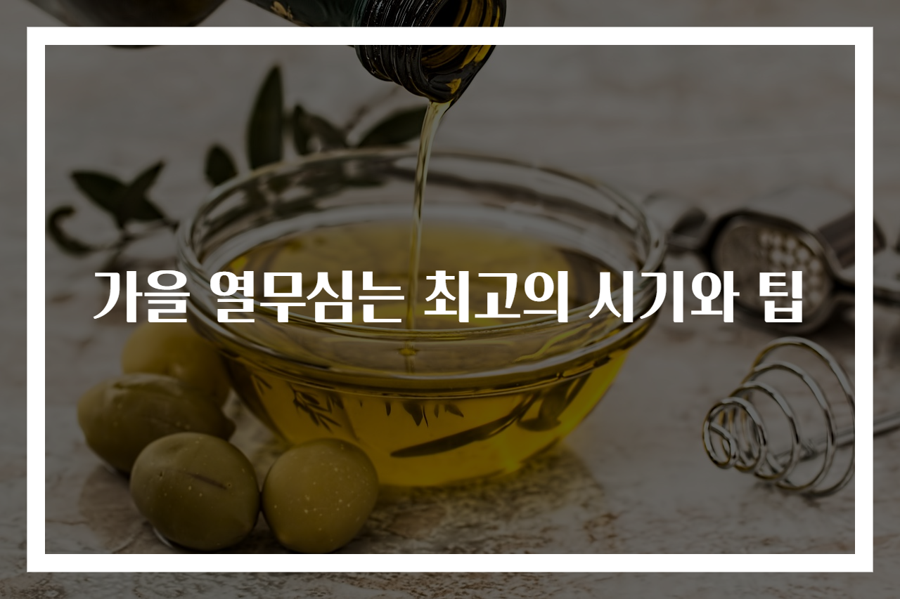 가을 열무심는 최고의 시기와 팁