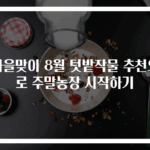 가을맞이 8월 텃밭작물 추천으로 주말농장 시작하기