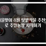 가을맞이 8월 텃밭작물 추천으로 주말농장 시작하기