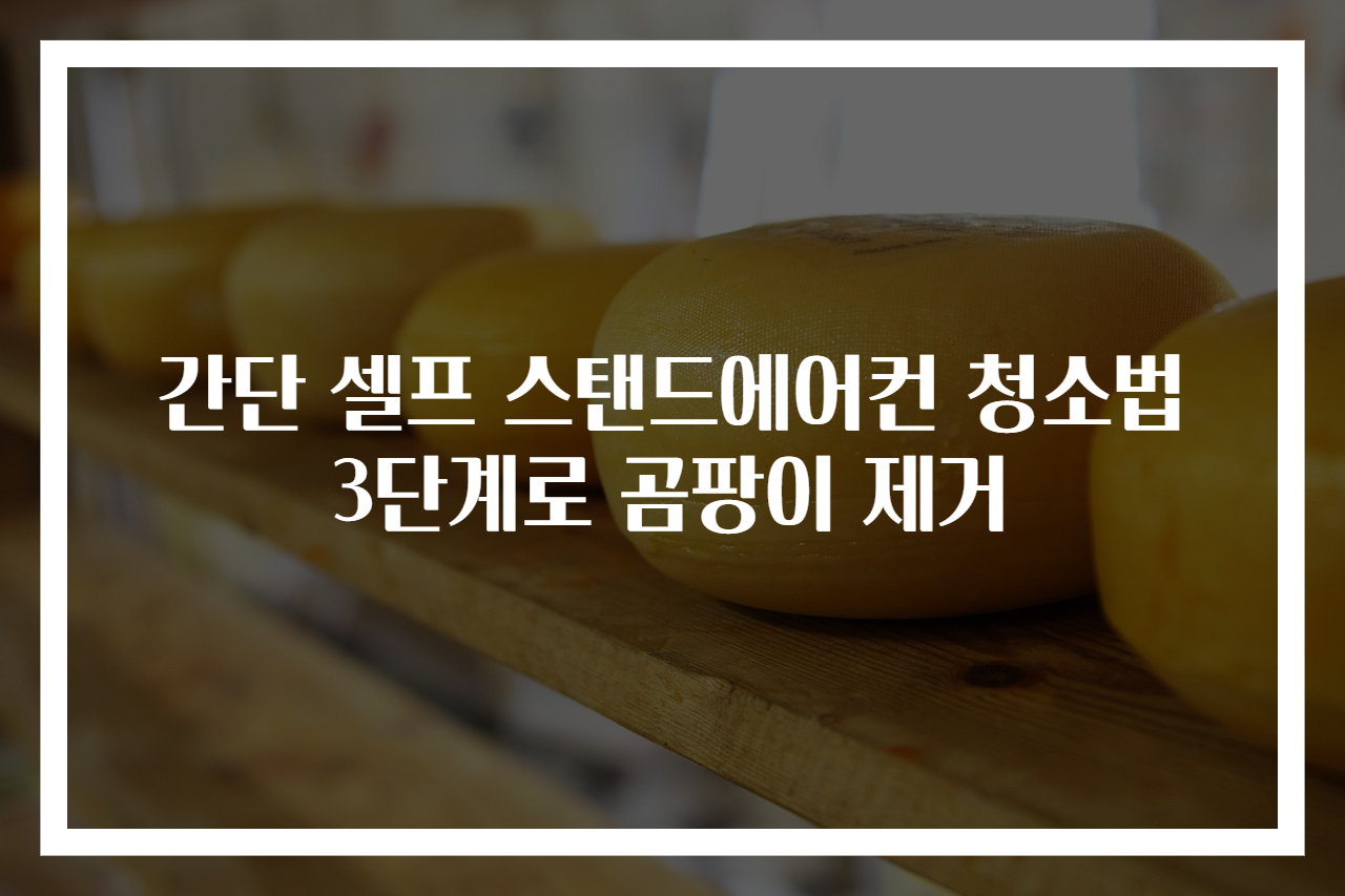 간단 셀프 스탠드에어컨 청소법 3단계로 곰팡이 제거