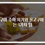 고구마 수확 시기와 꿀고구마 캐는 3가지 팁