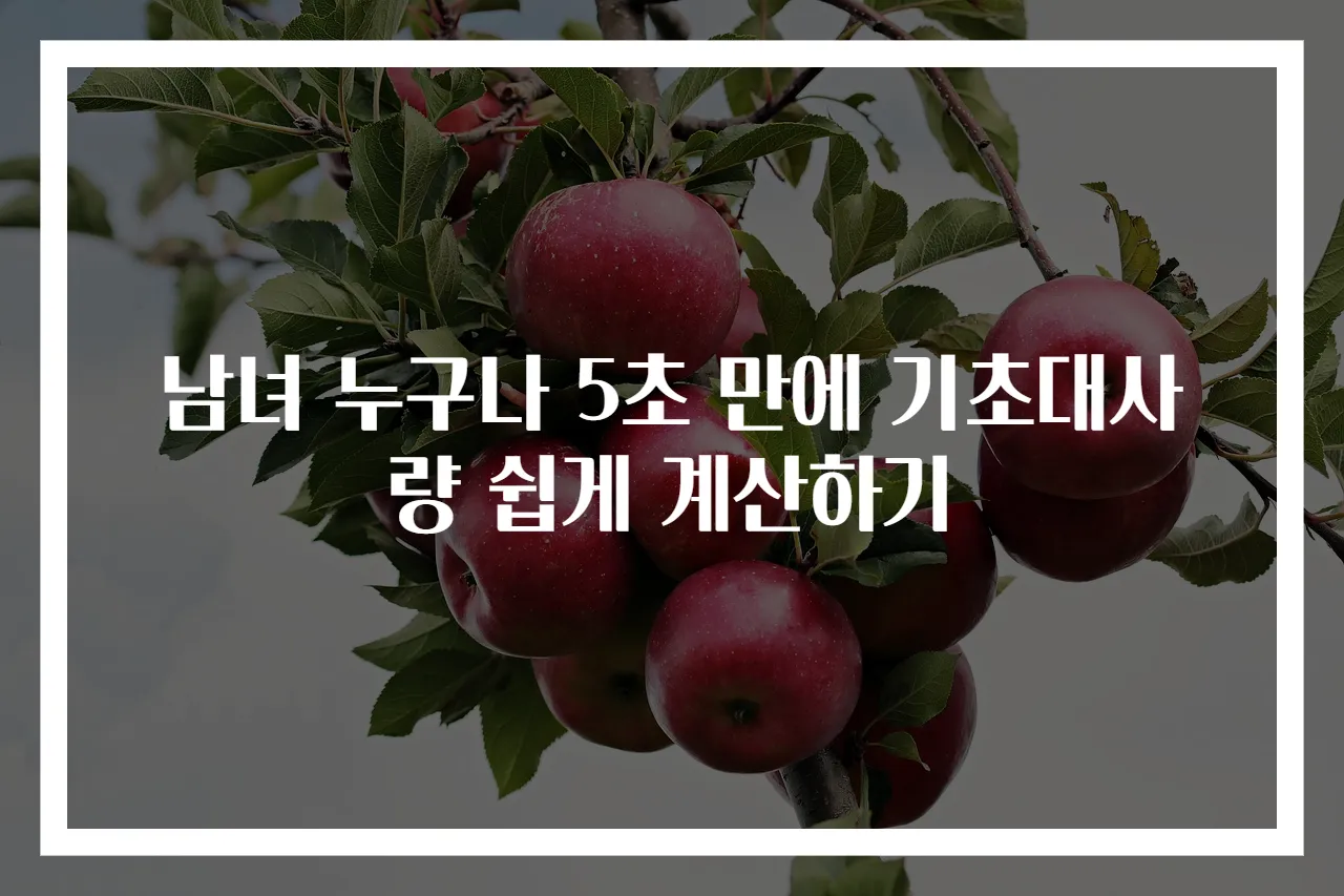 남녀 누구나 5초 만에 기초대사량 쉽게 계산하기