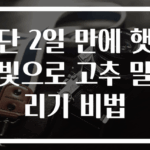 단 2일 만에 햇빛으로 고추 말리기 비법