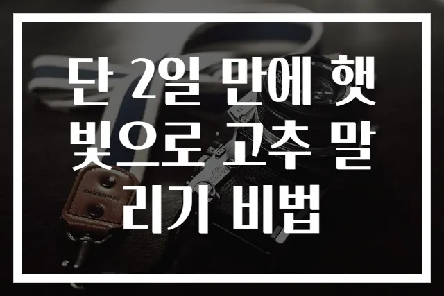 단 2일 만에 햇빛으로 고추 말리기 비법
