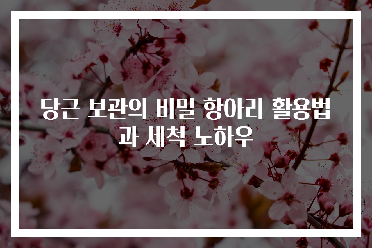 당근 보관의 비밀 항아리 활용법과 세척 노하우