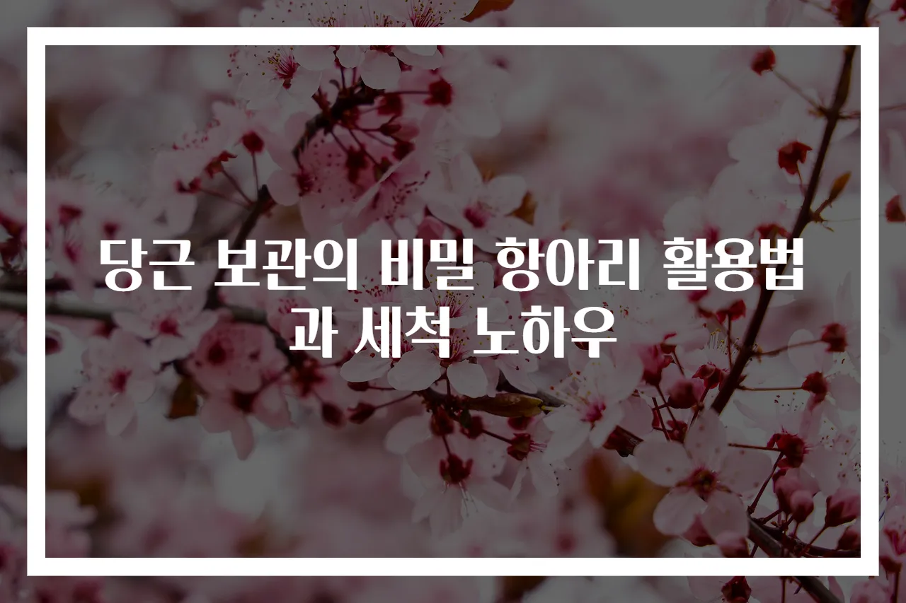 당근 보관의 비밀 항아리 활용법과 세척 노하우