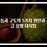 두통과 구토의 5가지 원인과 긴급 상황 대처법