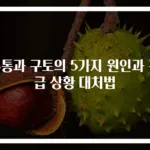 두통과 구토의 5가지 원인과 긴급 상황 대처법