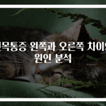 뒷목통증 왼쪽과 오른쪽 차이와 원인 분석