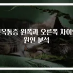 뒷목통증 왼쪽과 오른쪽 차이와 원인 분석