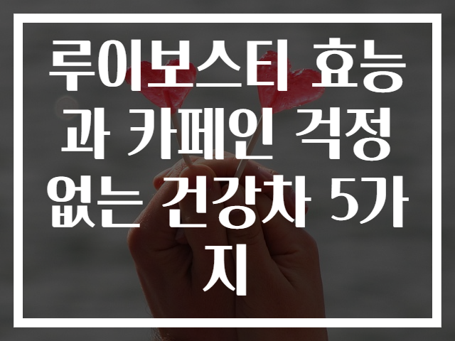 루이보스티 효능과 카페인 걱정 없는 건강차 5가지