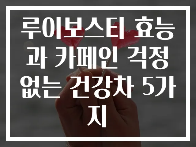 루이보스티 효능과 카페인 걱정 없는 건강차 5가지